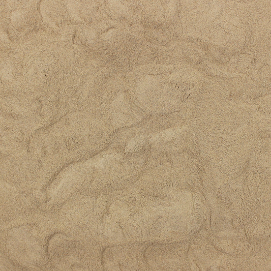 Amla Berry Powder Organic