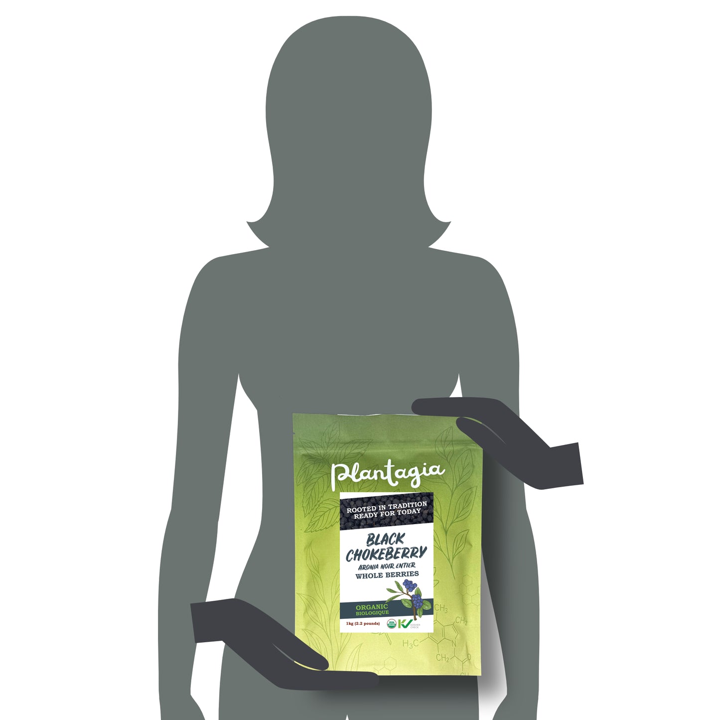 Organic Black Chokeberry (Aronia) ARONIA MELANOCARPA - Dry Berries