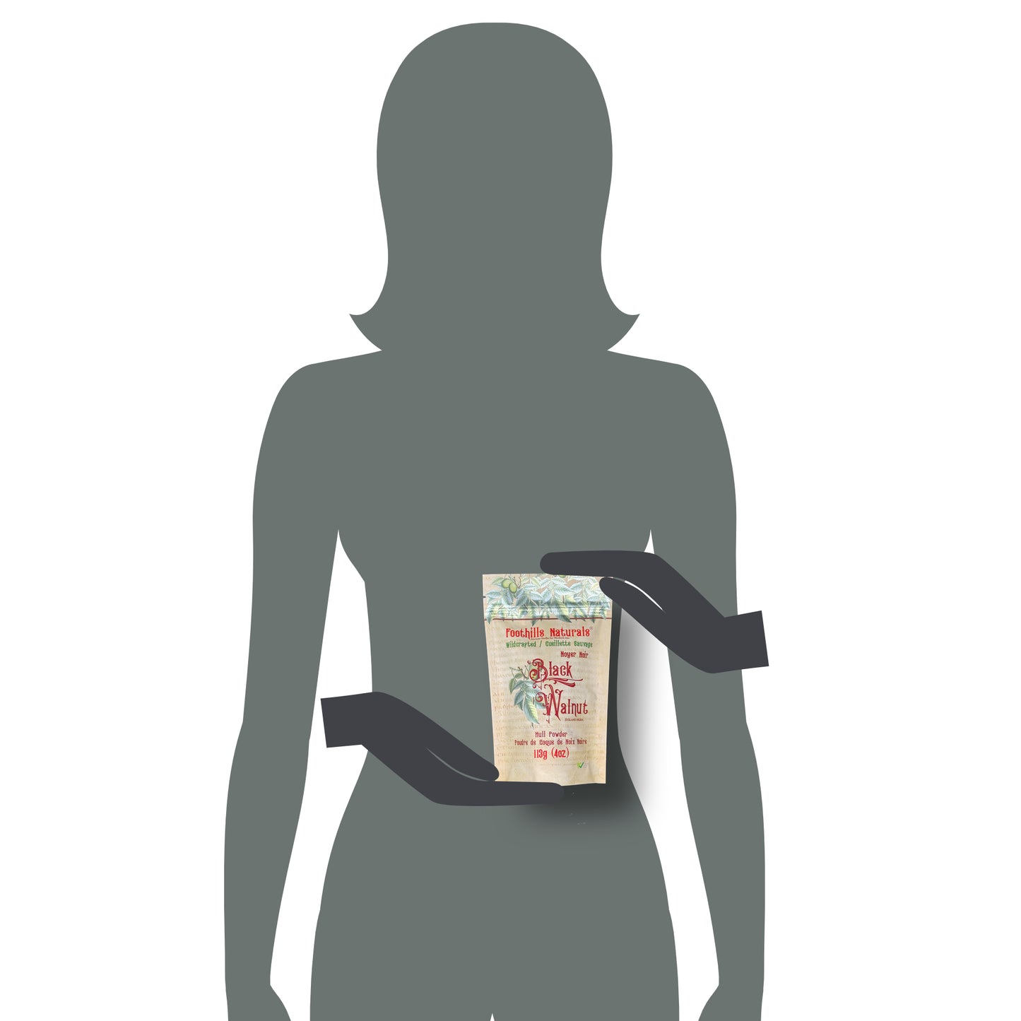 Black Walnut Hull Powder (Juglans nigra) - Wildcrafted