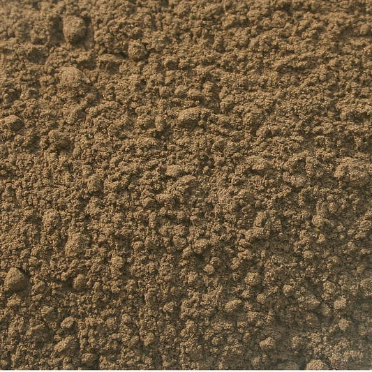 Wildcrafted Black Walnut Hull Powder (Juglans nigra)