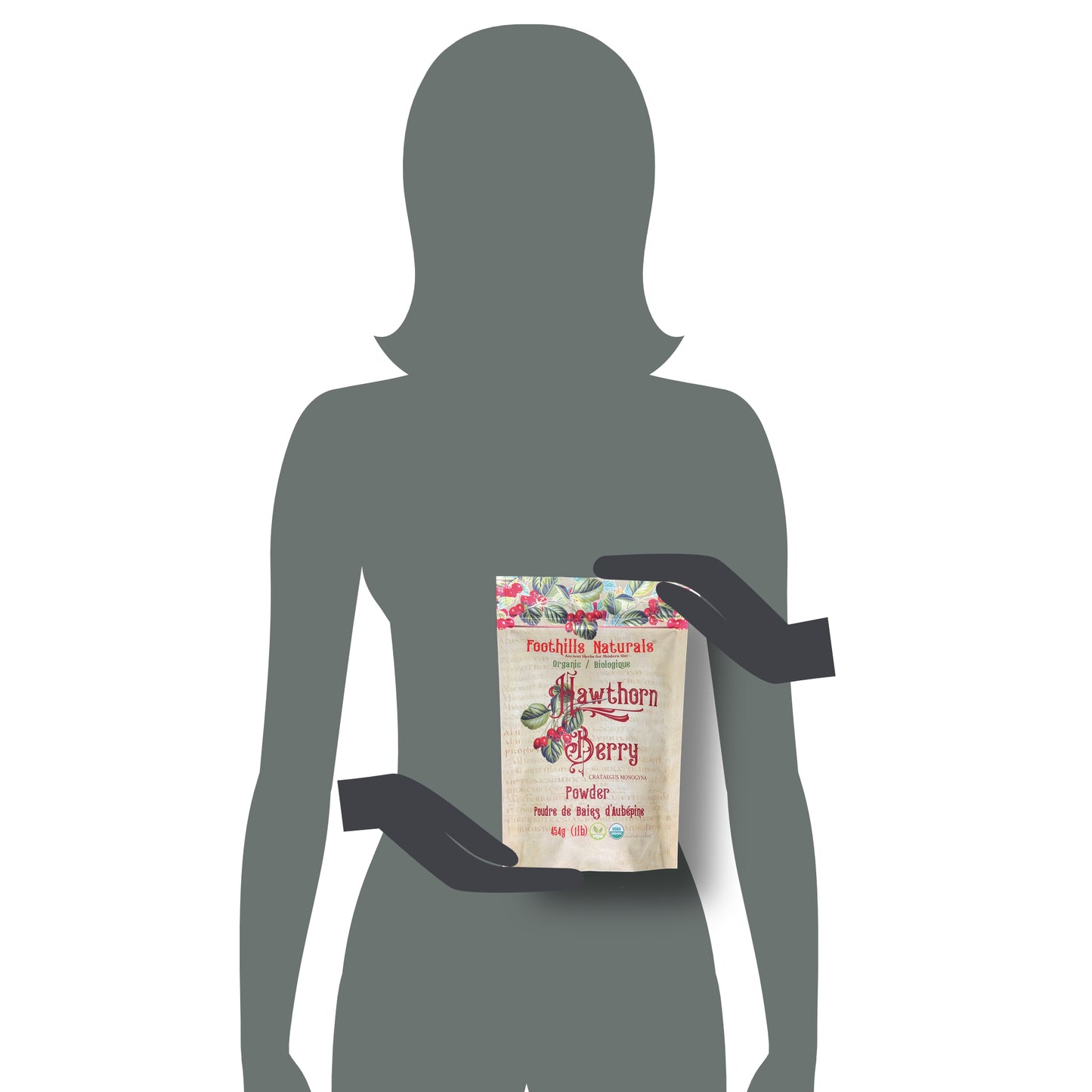 Hawthorn Berries Powder Organic