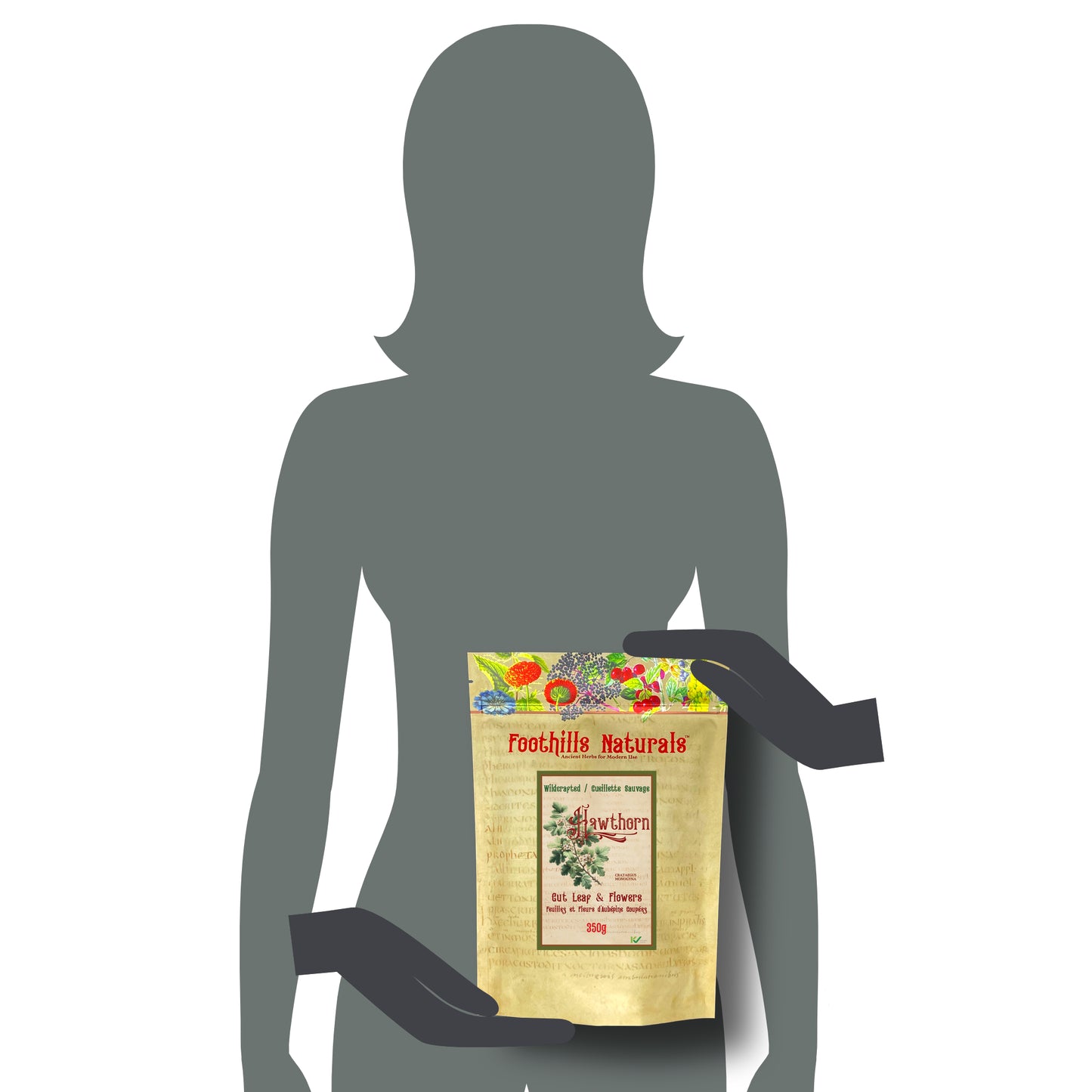 Hawthorn Leaf & Flower (Crataegus monogyna) – Wildcrafted – Dried Herb for Tea & Infusions