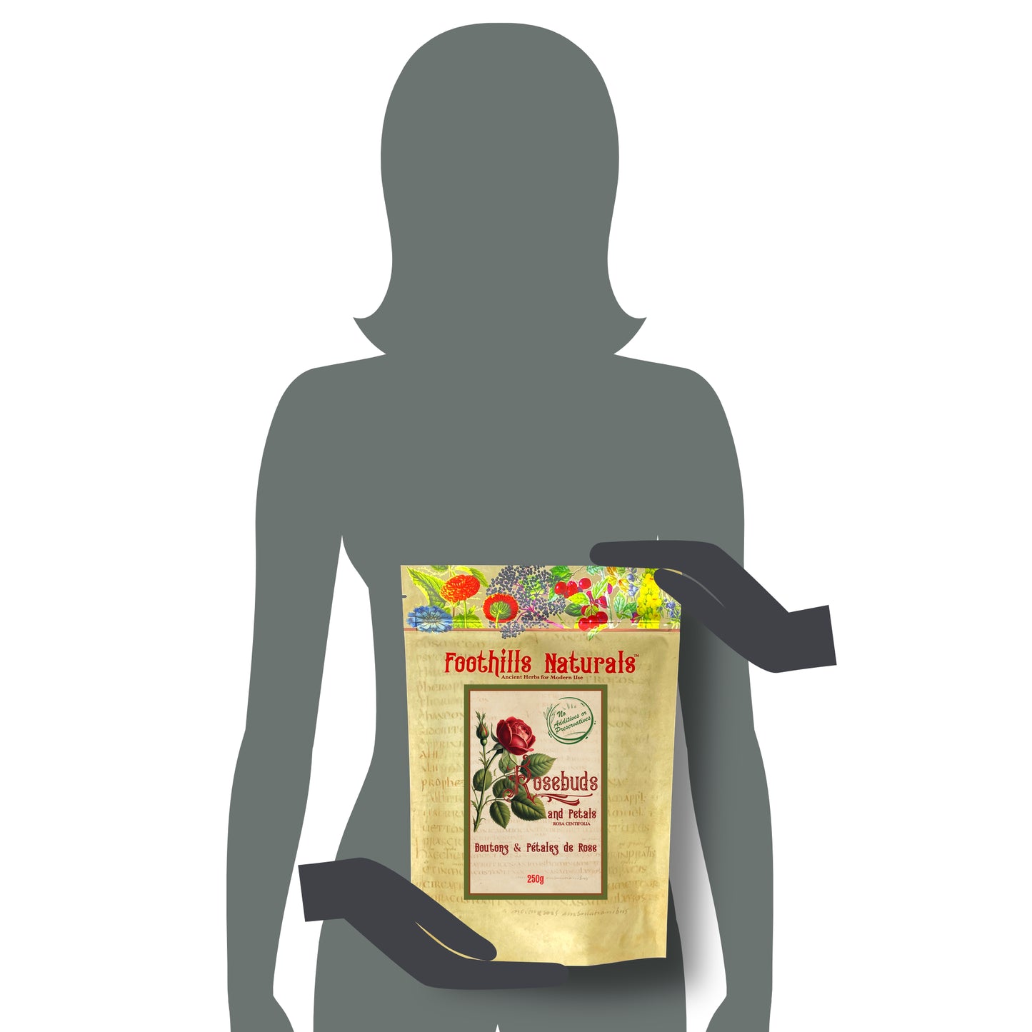 Rose Petals and Buds