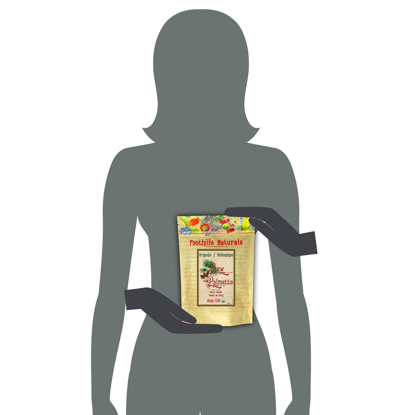 Saw Plametto Berry - Powder Organic