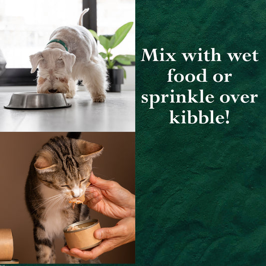 Wildcrafted Spirulina Powder for Cats, Dogs, Horses, Poultry, Livestock and Fish (ARTHROSPIRA PLATENSIS)