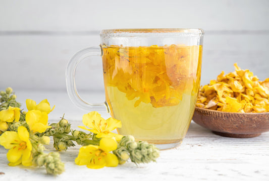 Mullein Tea