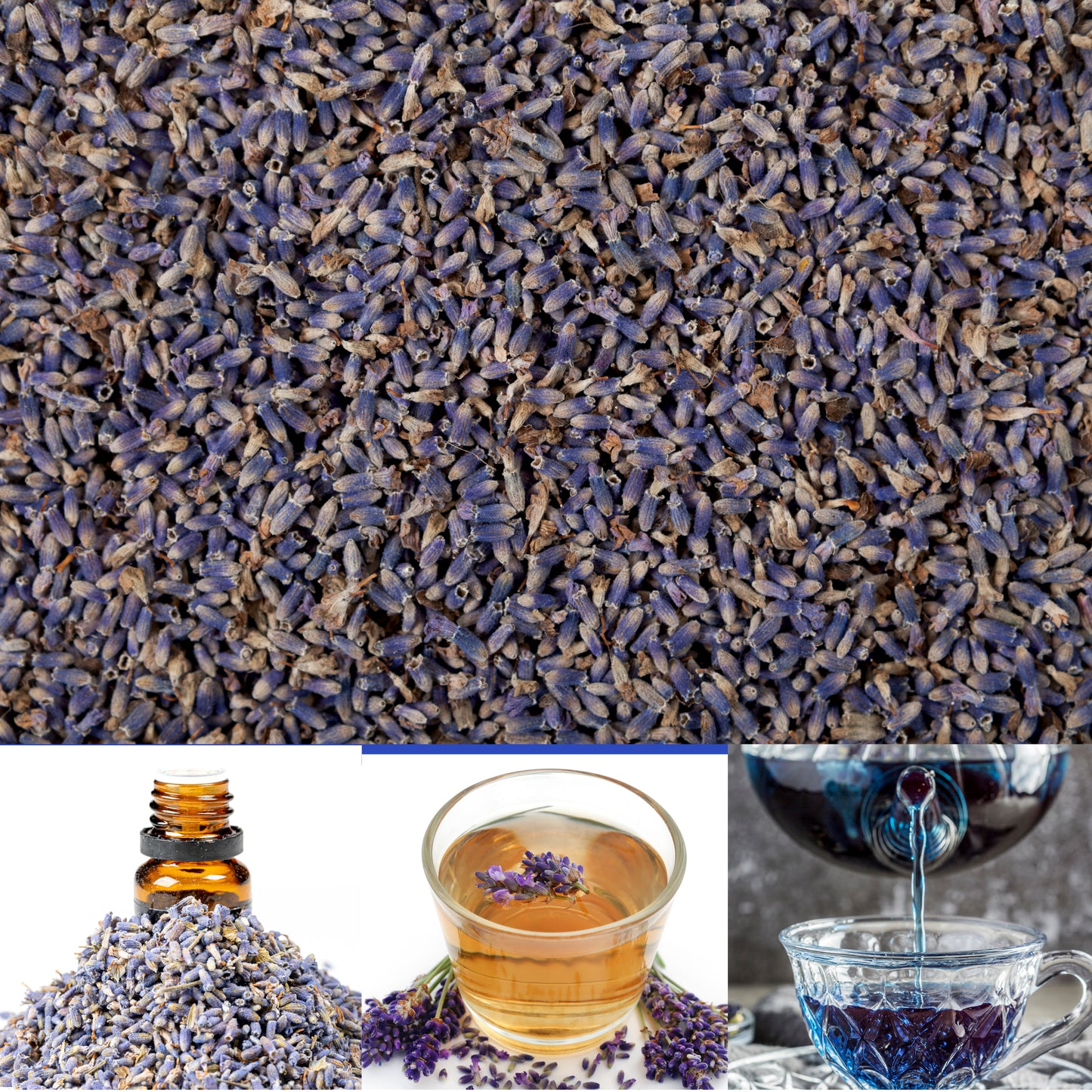 French Lavender Flowers (Lavandula angustifolia) – 454g / 1 lb – Dried Floral Buds for Tea, Culinary & Aromatic Use