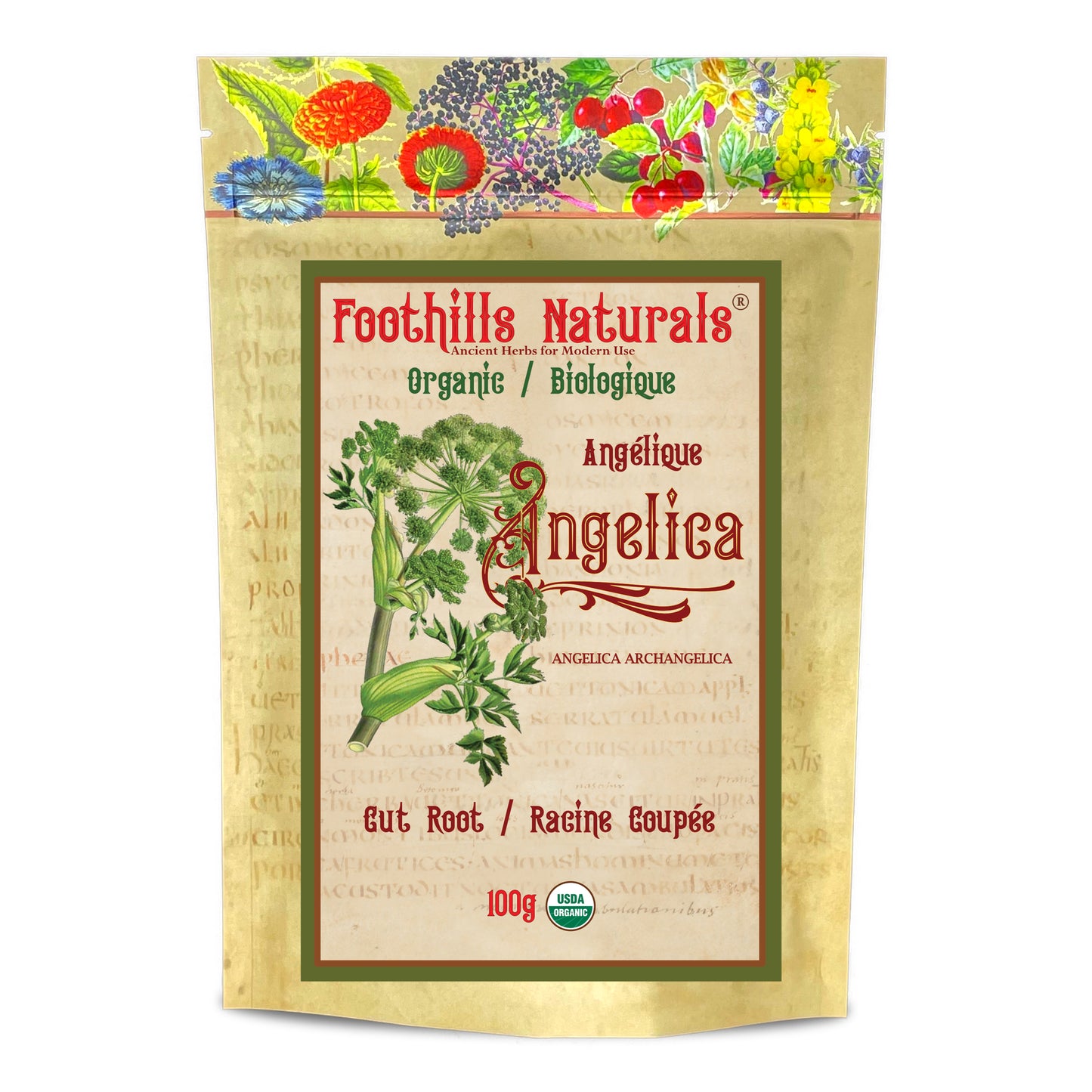 Organic Angelica Root Cut (ANGELICA ARCHANGELICA) – Dried Botanical for Tea & Preparations