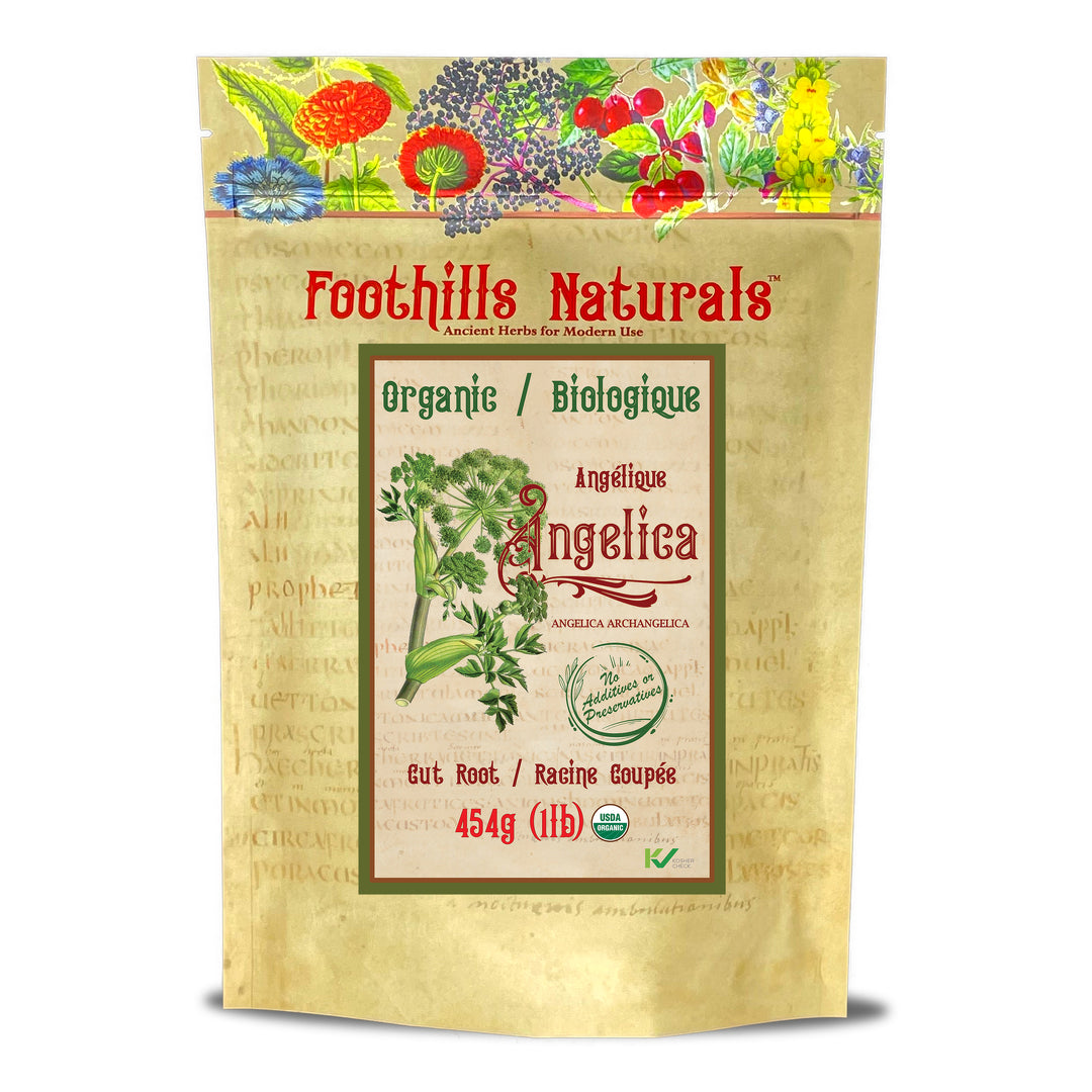 Angelica Root Organic - Cut Root