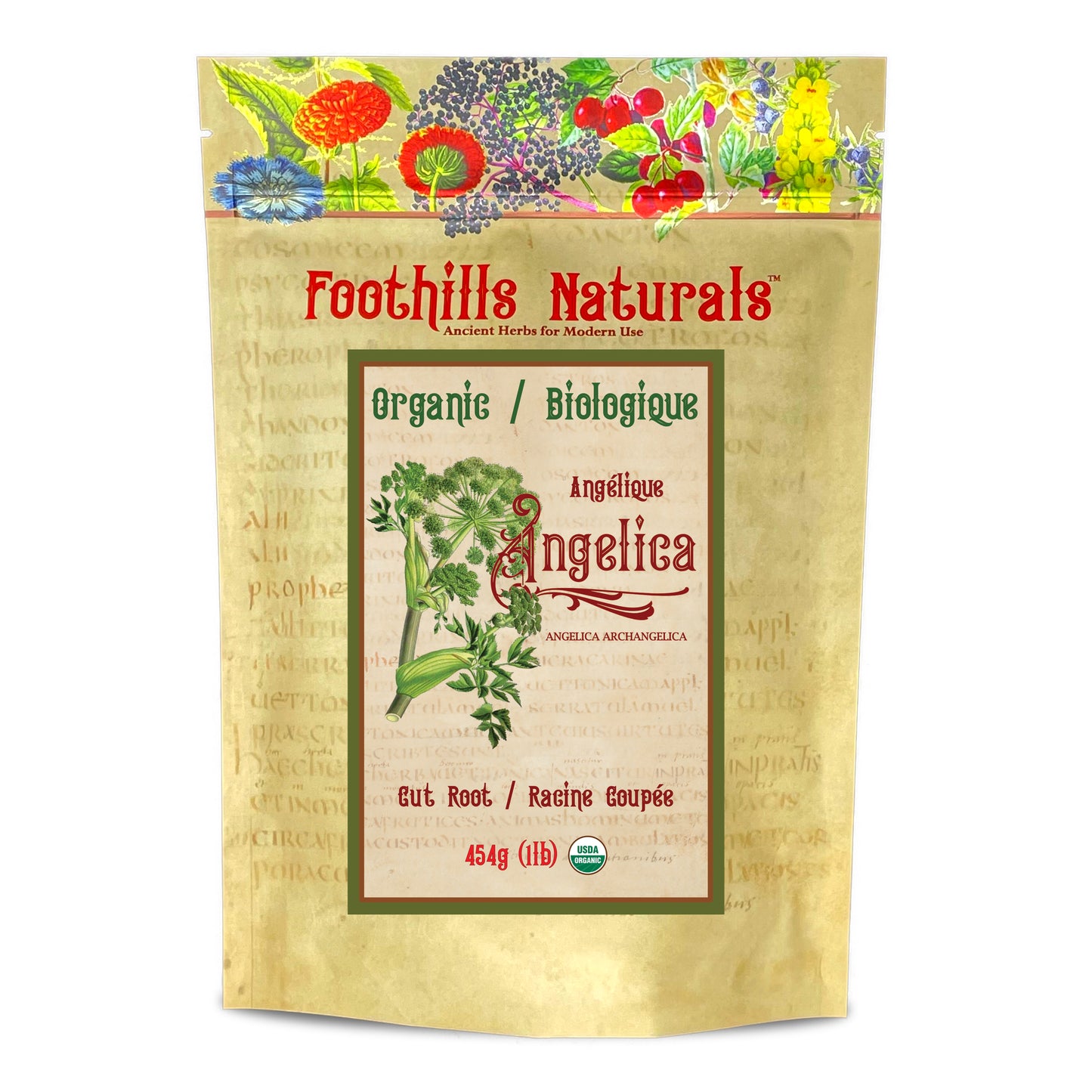 Organic Angelica Root Cut (ANGELICA ARCHANGELICA) – Dried Botanical for Tea & Preparations