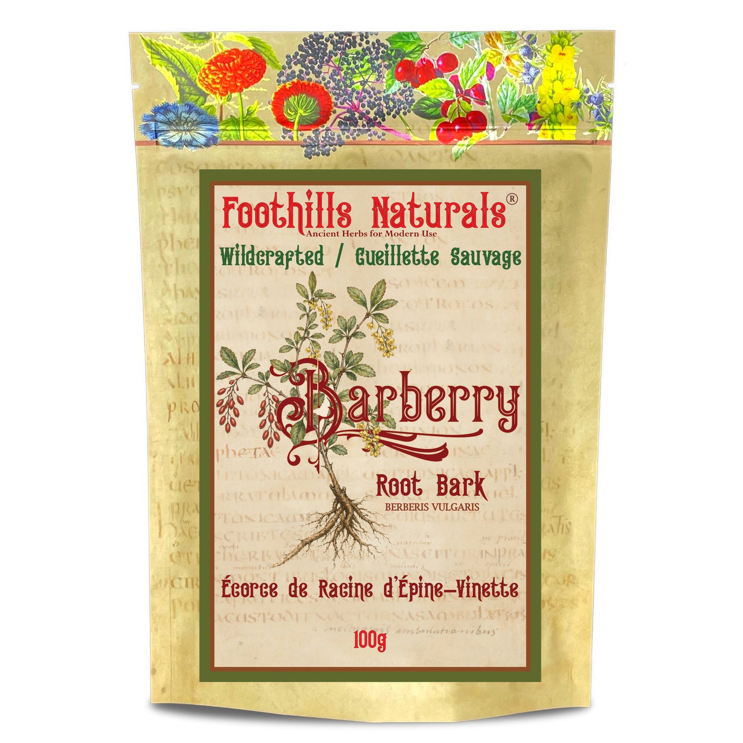 Barberry Root (Berberis vulgaris) – Wildcrafted – Dried Root for Tea & Decoction