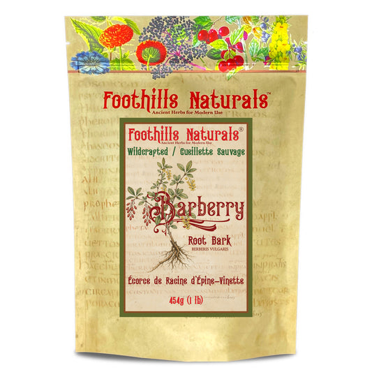 Barberry Root (Berberis vulgaris) – Wildcrafted – Dried Root for Tea & Decoction