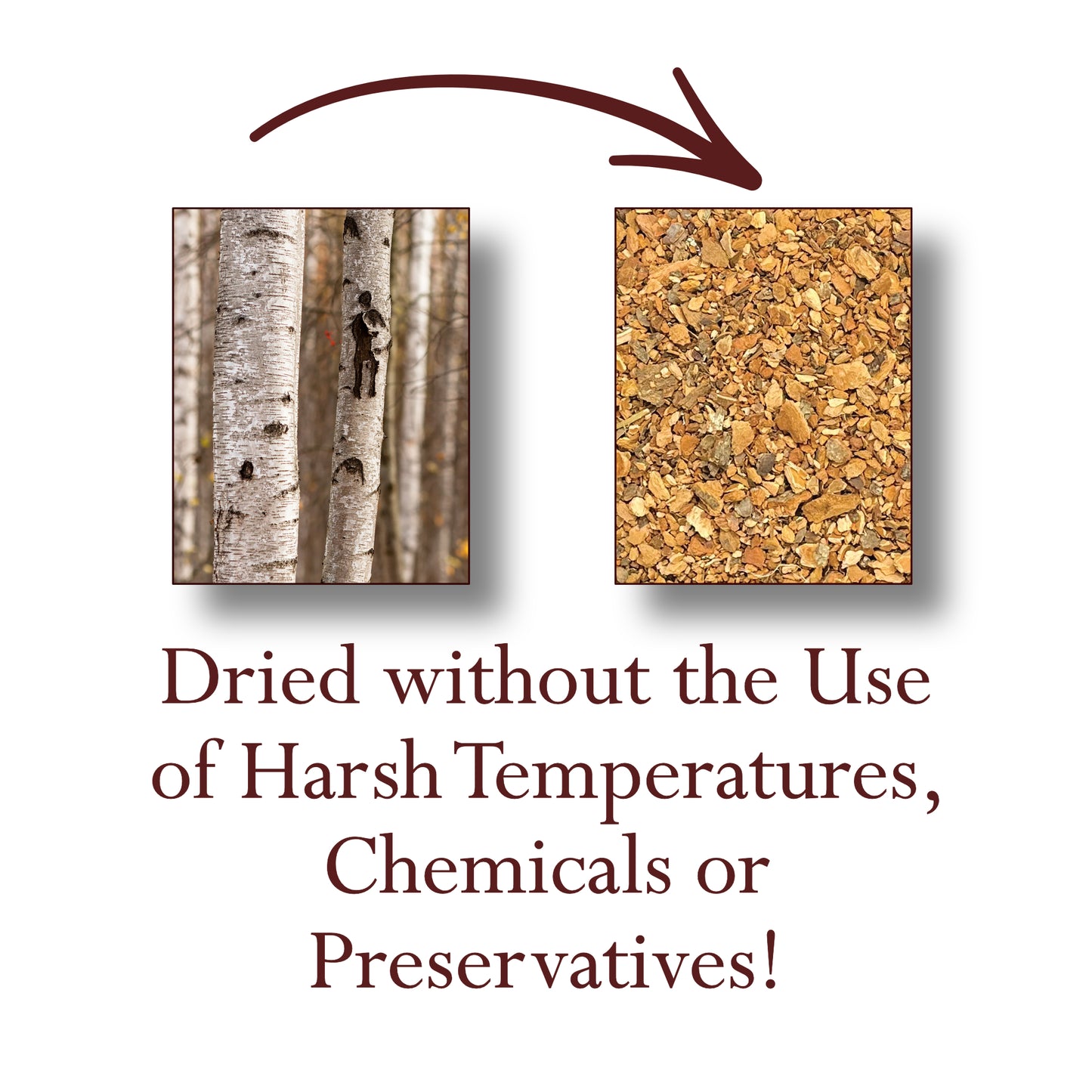 Organic Birch Bark Cut (BETULA PUBESCENS) – Dried Botanical for Tea & Preparations
