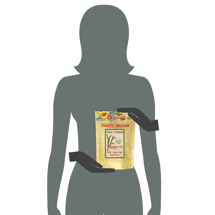 Bladderwrack Powder, Organic - Canadian