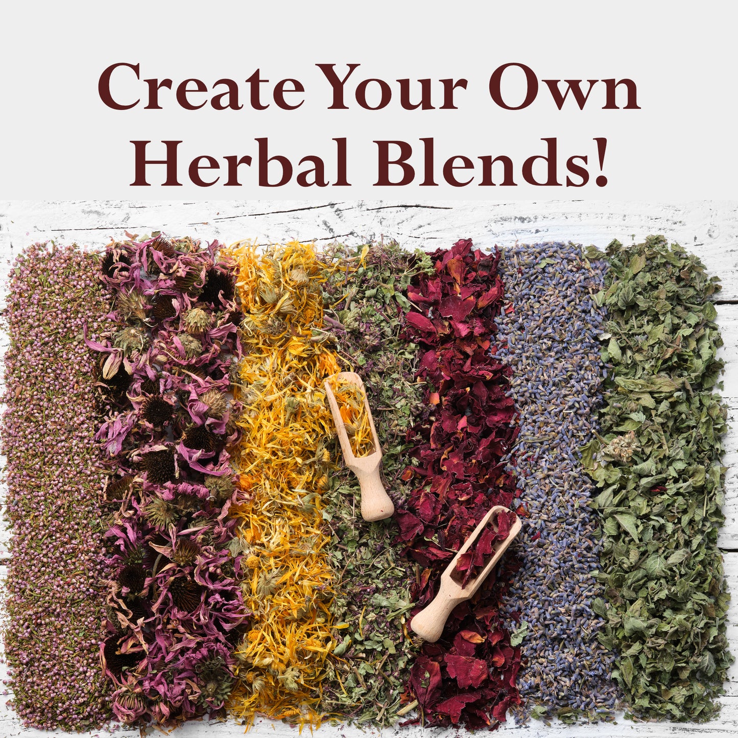 Calendula Petals (CALENDULA OFFICINALIS) – Dried Flower Petals for Tea & Culinary Use