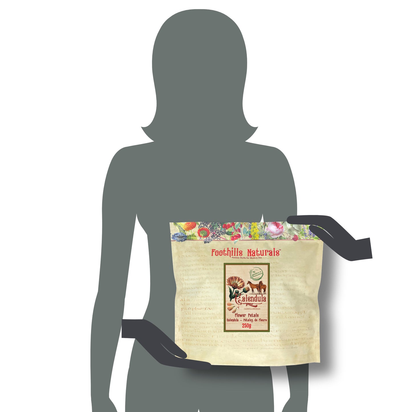 Organic Calendula Petals Horse Treats