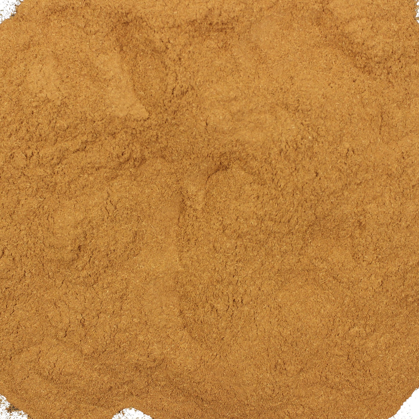 Cat's Claw Inner Bark Powder, Samento