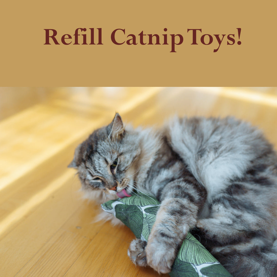 Catnip Herb for Cats