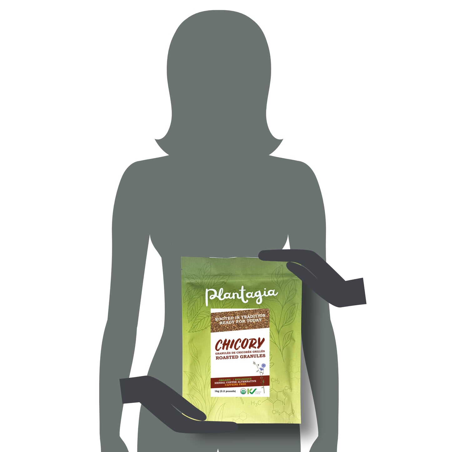 Chicory Root Roasted Granules Organic - 1kg (2.2lb) (Cichorium intybus)