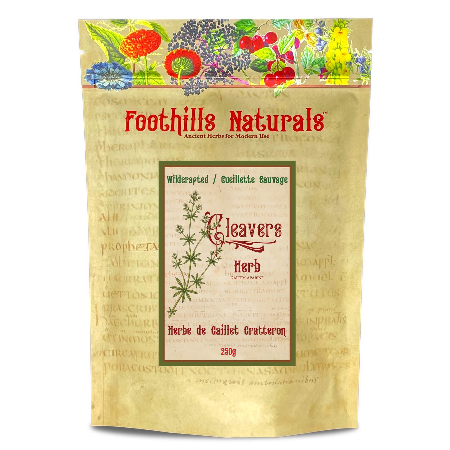 Cleavers Herb (Galium aparine) – Wildcrafted – Dried Herb for Tea & Herbal Infusions