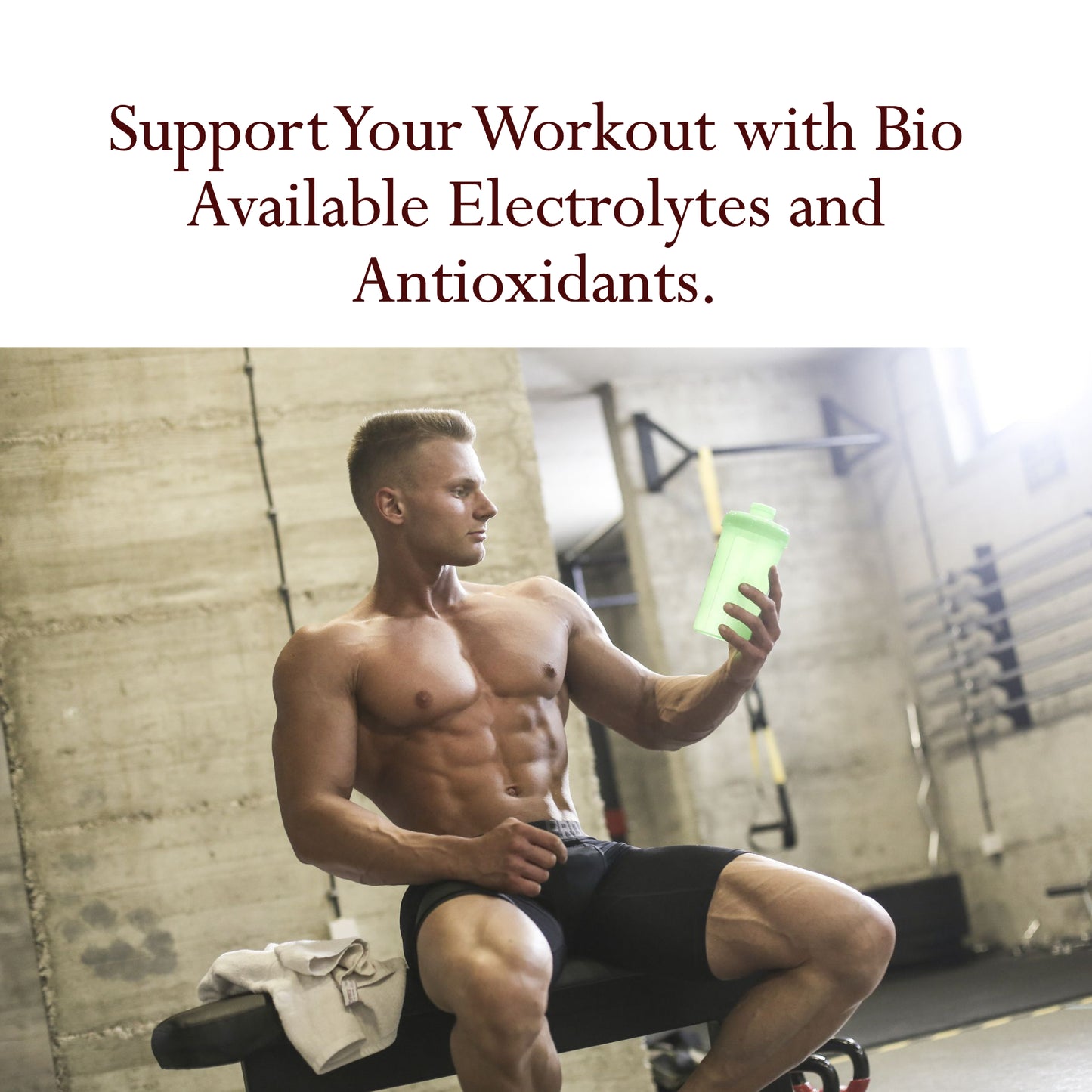 Coconut Water Powder Organic