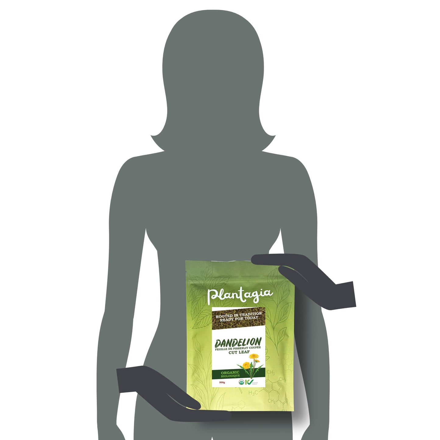Plantagia Organic Dandelion Leaf (Taraxacum officinale) – 300g – Single Ingredient Dried Herb for Tea & Infusions