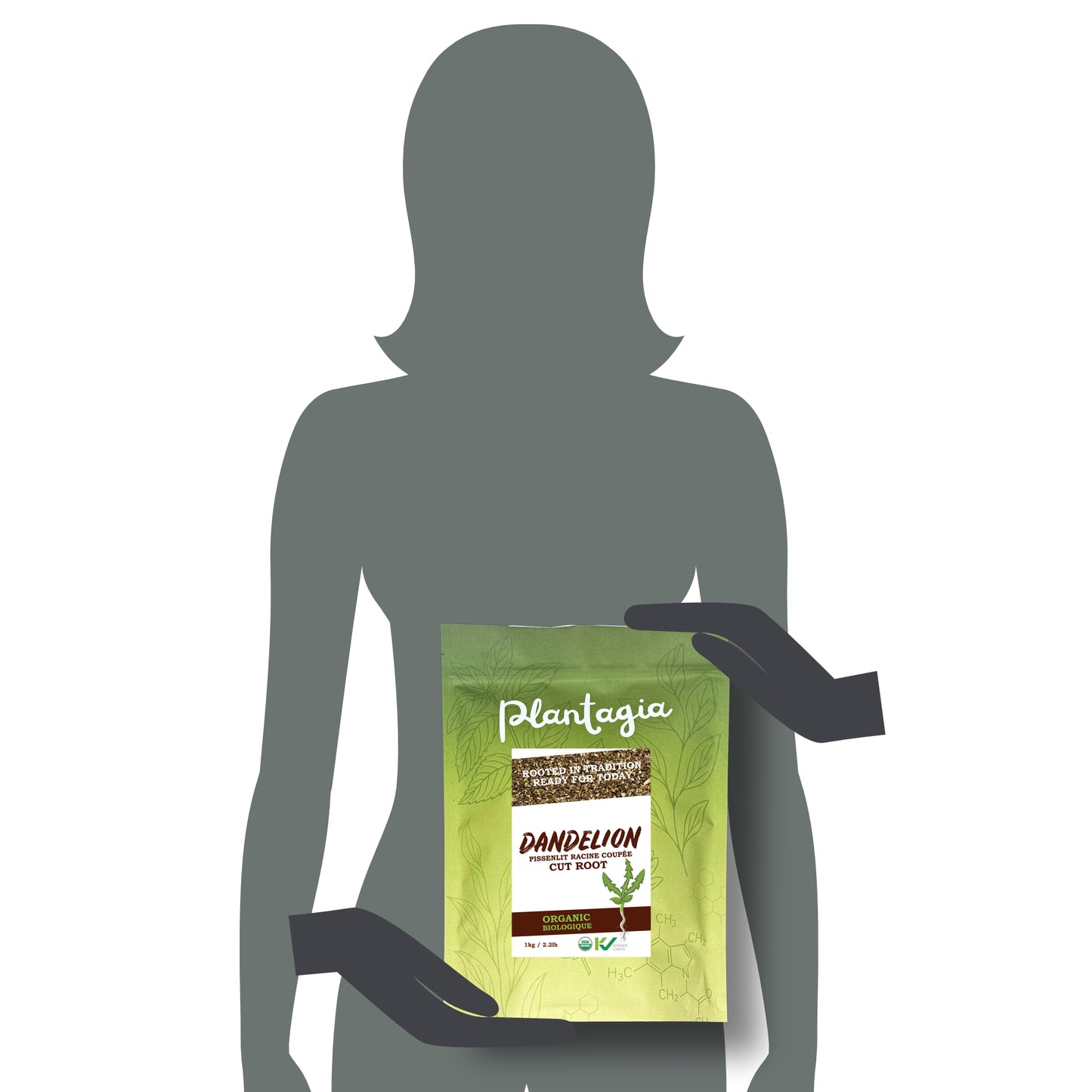 Dandelion Root Cut Organic (Taraxacum officinale)