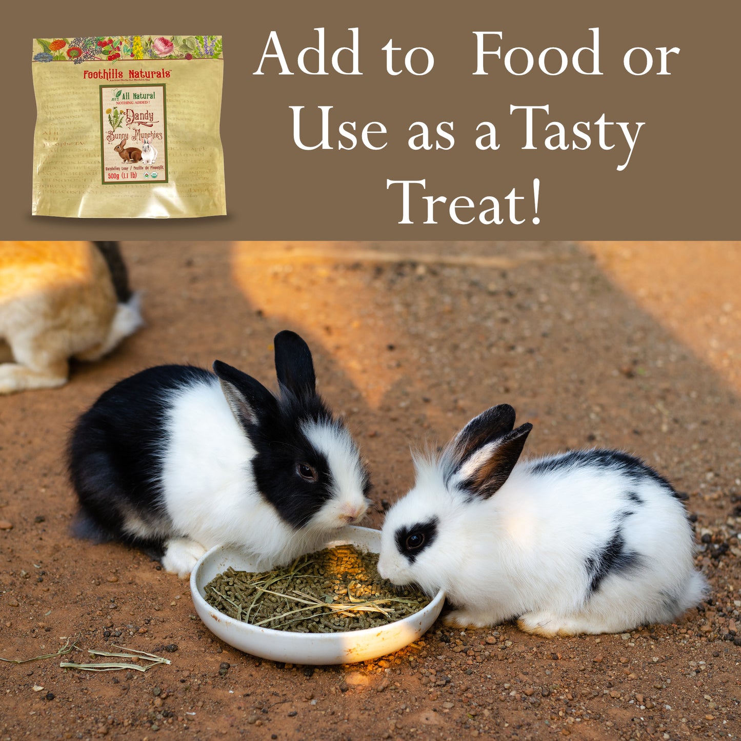 Dandelion Leaf Organic Dandy Bunny Munchies - 500g Pure