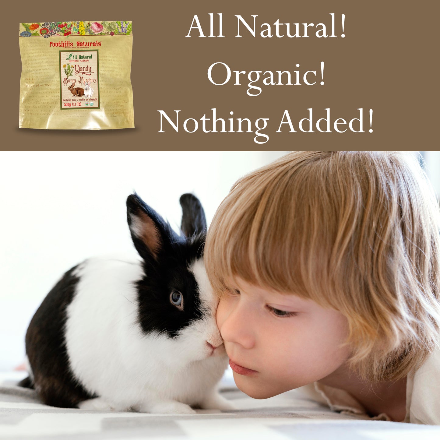 Dandelion Leaf Organic Dandy Bunny Munchies - 500g Pure