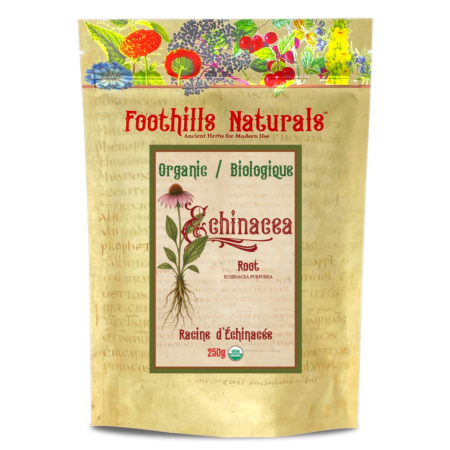 Organic Echinacea Root (Echinacea purpurea)