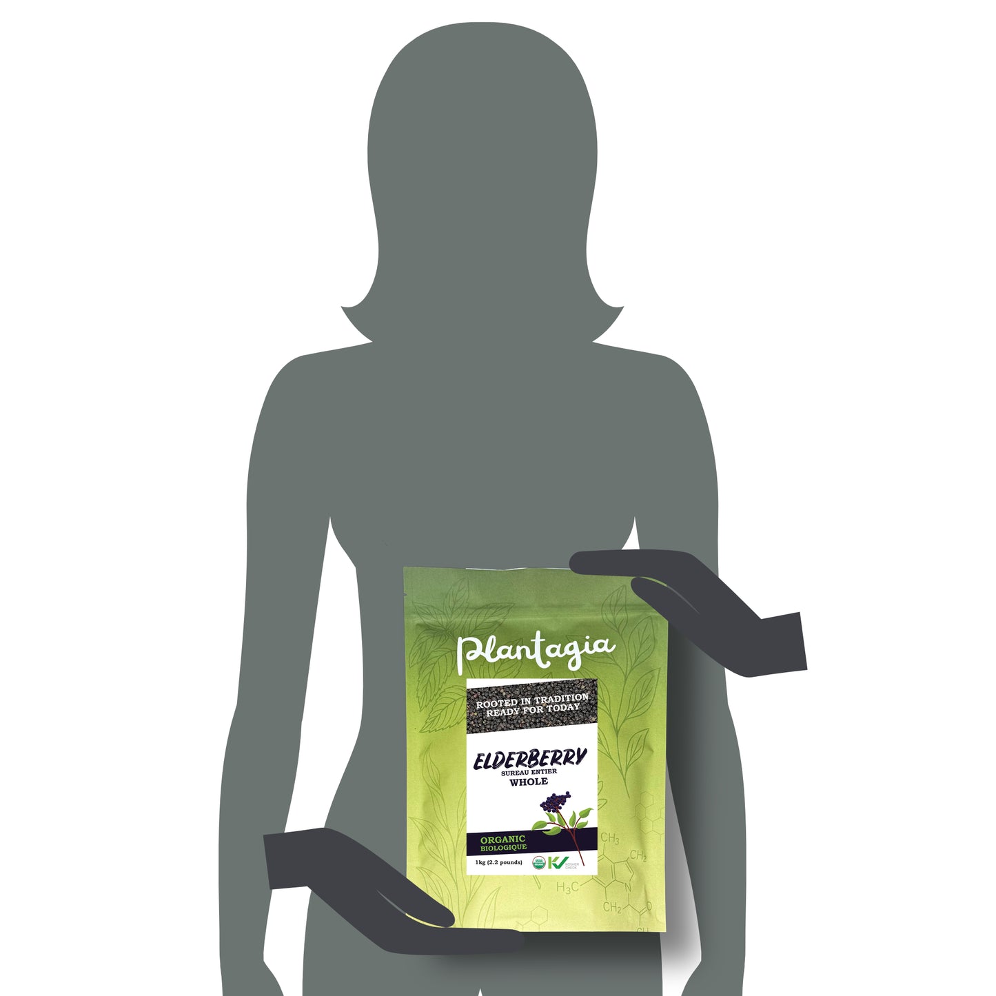 Plantagia Organic Elderberries (Sambucus nigra) – 1 kg – Whole Dried Elderberries for Tea, Syrups & Recipes