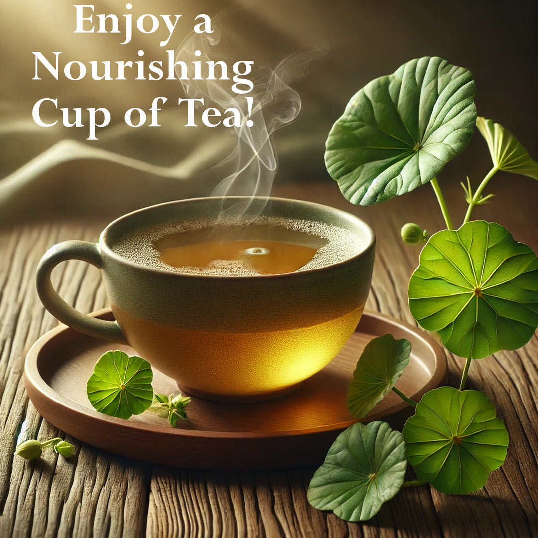 Gotu Kola Cut Leaves, Wildcrafted- Also Reffered as Brahmi