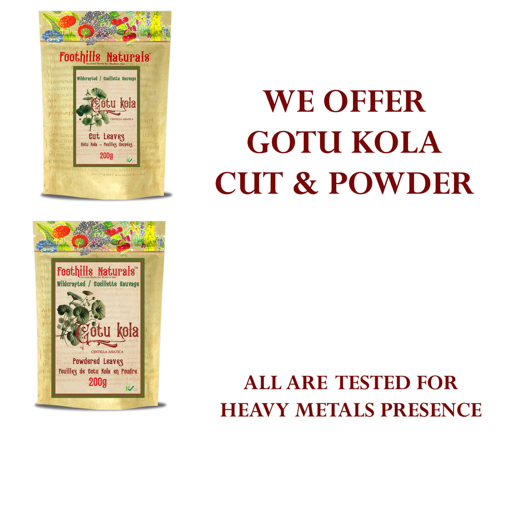 Gotu Kola Cut Leaves, Wildcrafted- Also Reffered as Brahmi