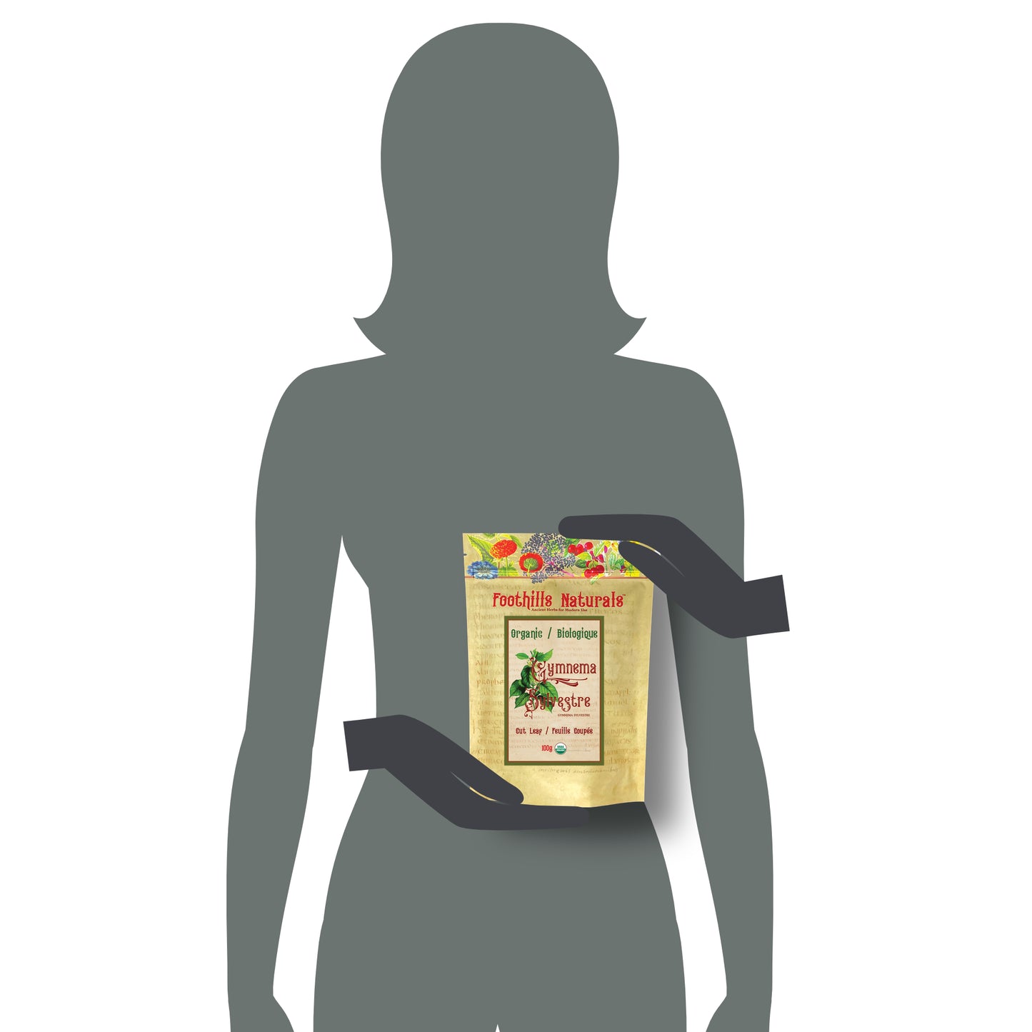 Organic Gymnema Sylvestre Cut Leaf (Gymnema sylvestre) – Dried Herb for Tea & Infusions