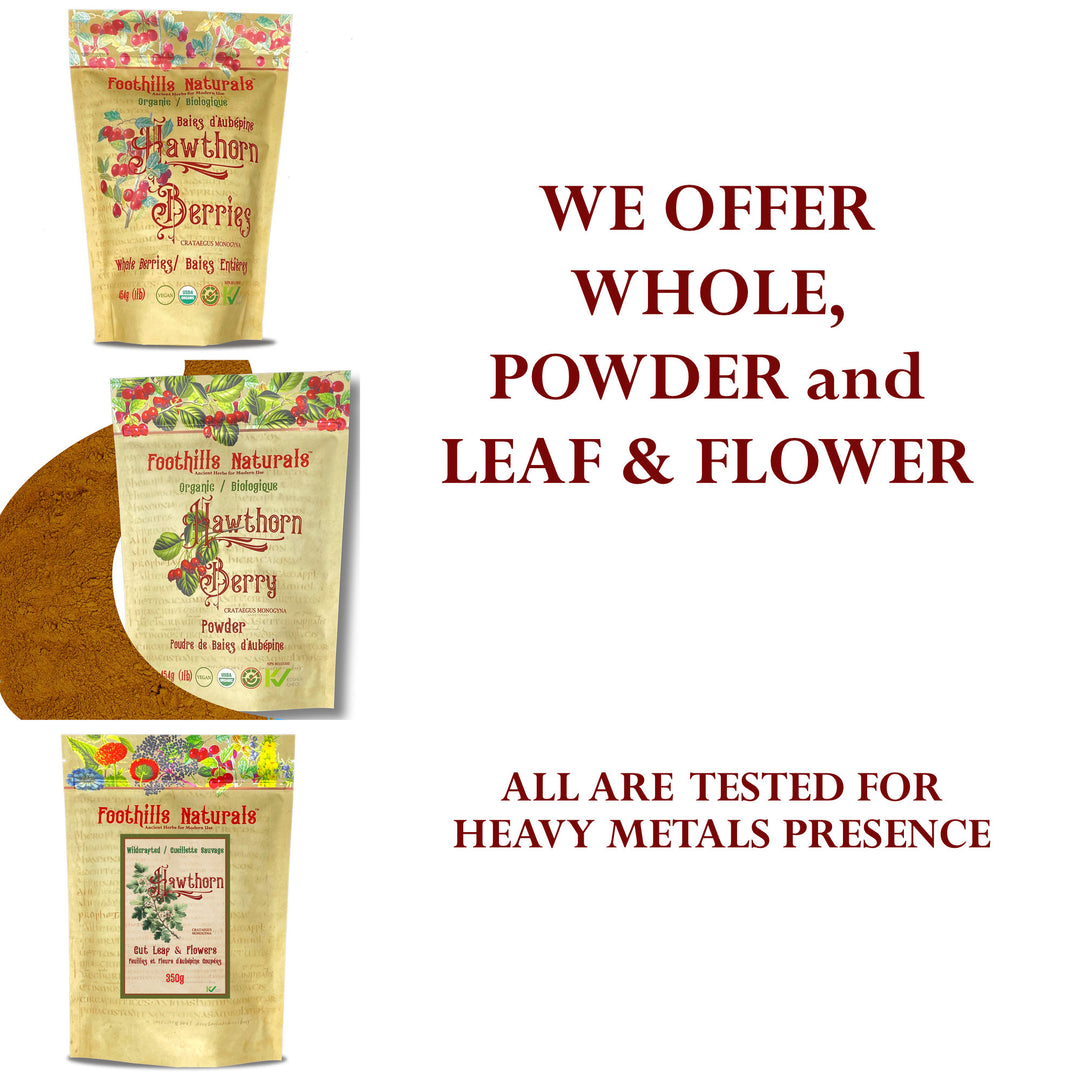 Hawthorn Berries Whole Organic