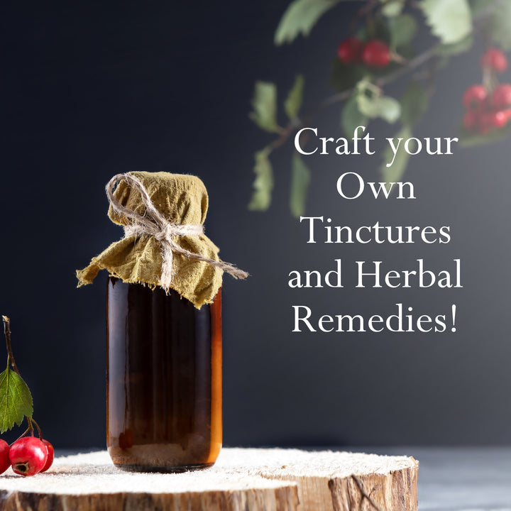 Hawthorn Leaf and Flower, Cut