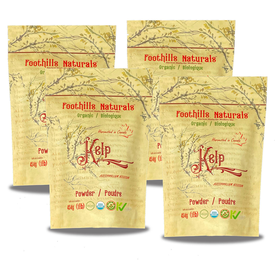 Kelp Powder Organic - Pack of 4, Canadian