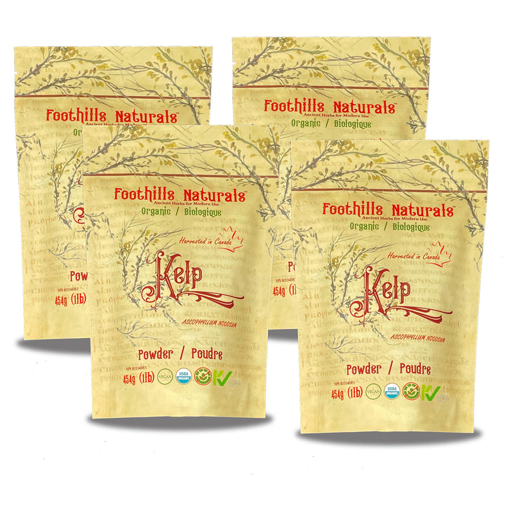 Kelp Powder Organic - Pack of 4, Canadian