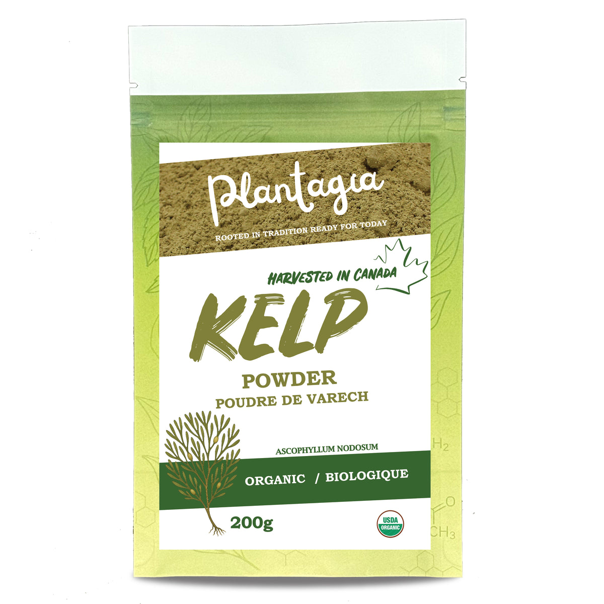 Organic Kelp Powder (Ascophyllum nodosum) – 500g – Single Ingredient Sea Vegetable Powder