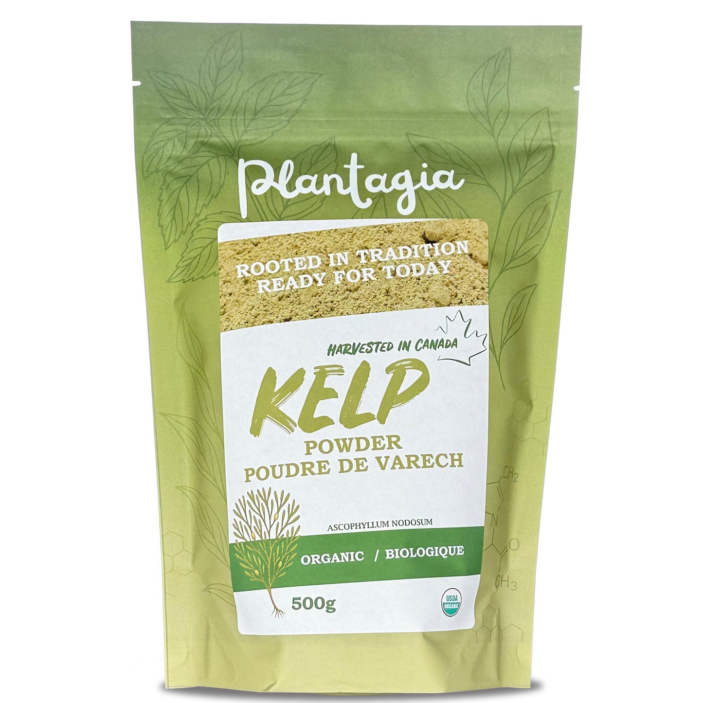 Organic Kelp Powder Canadian (Ascophyllum nodosum) 500g