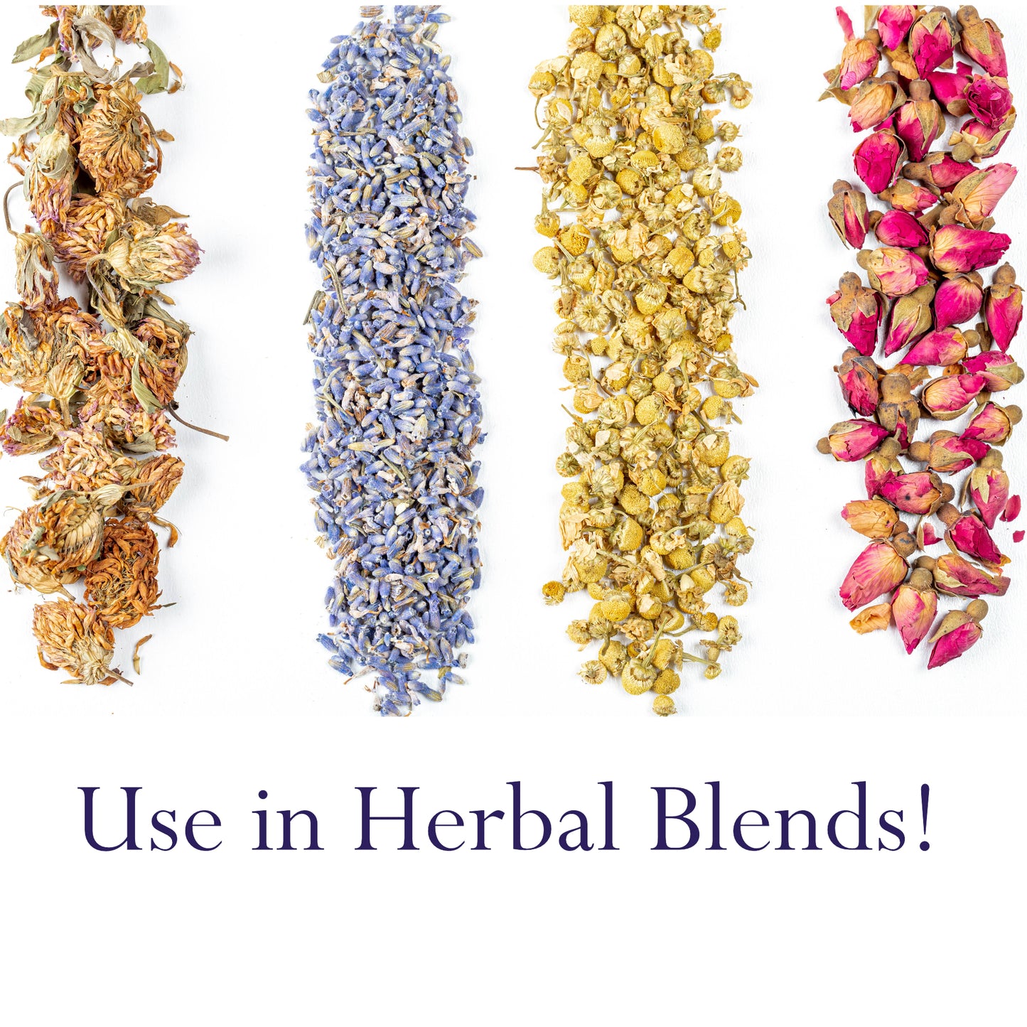 French Lavender Flowers (Lavandula angustifolia) – 454g / 1 lb – Dried Floral Buds for Tea, Culinary & Aromatic Use