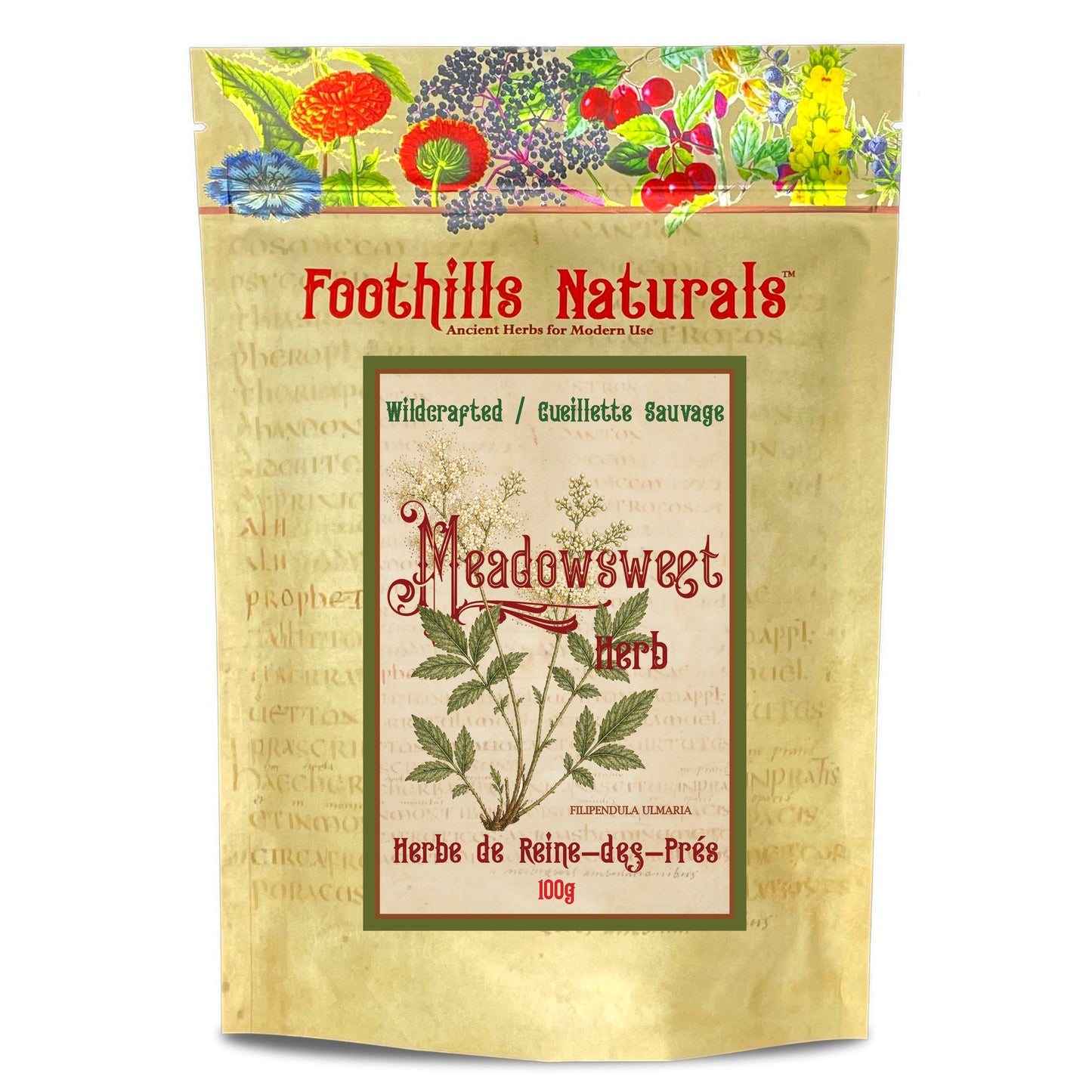 Meadowsweet Herb (Filipendula ulmaria) – Wildcrafted – Dried Herb for Tea & Herbal Infusions
