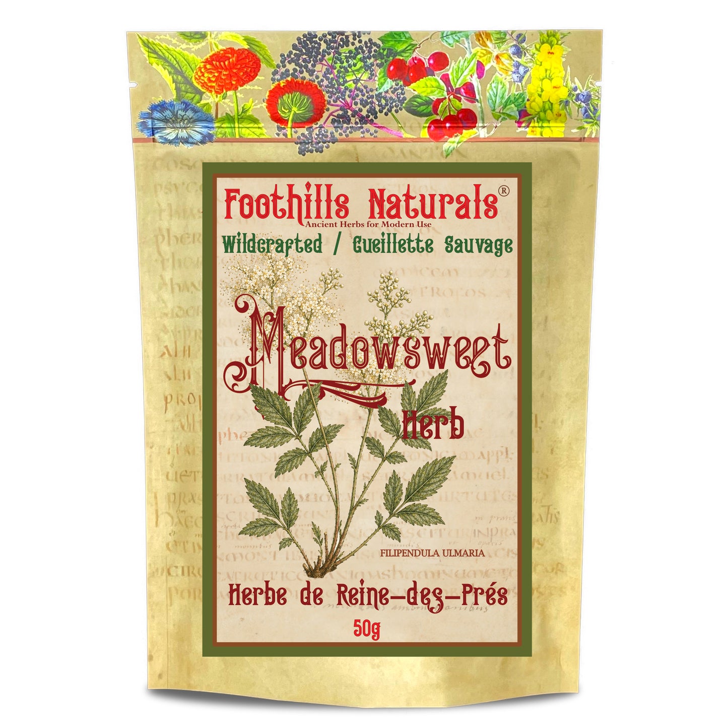 Meadowsweet Herb (Filipendula ulmaria) – Wildcrafted – Dried Herb for Tea & Herbal Infusions
