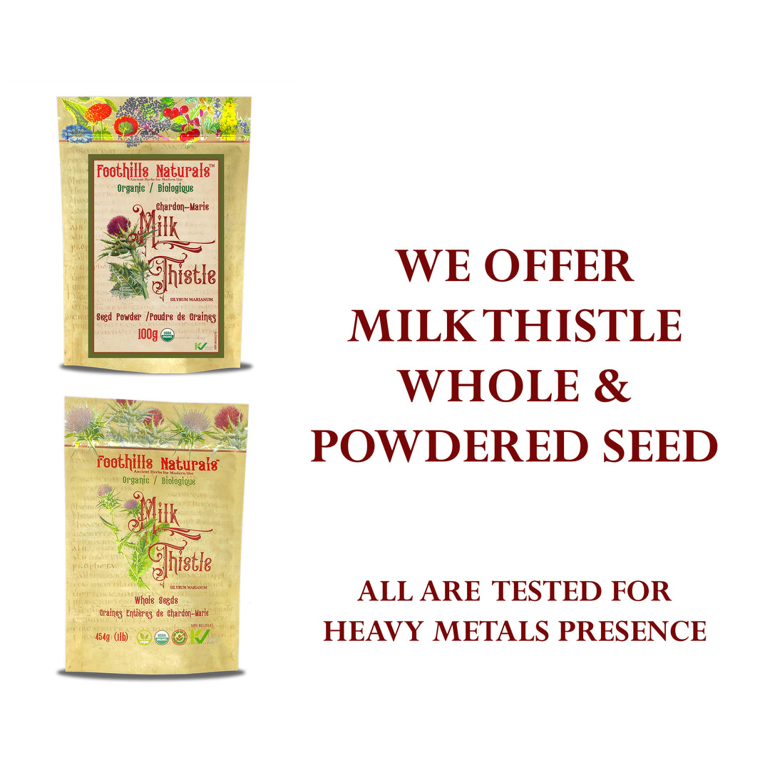 Milk Thistle Whole Seed Organic