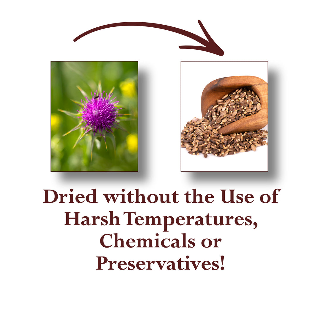 Milk Thistle Whole Seed Organic