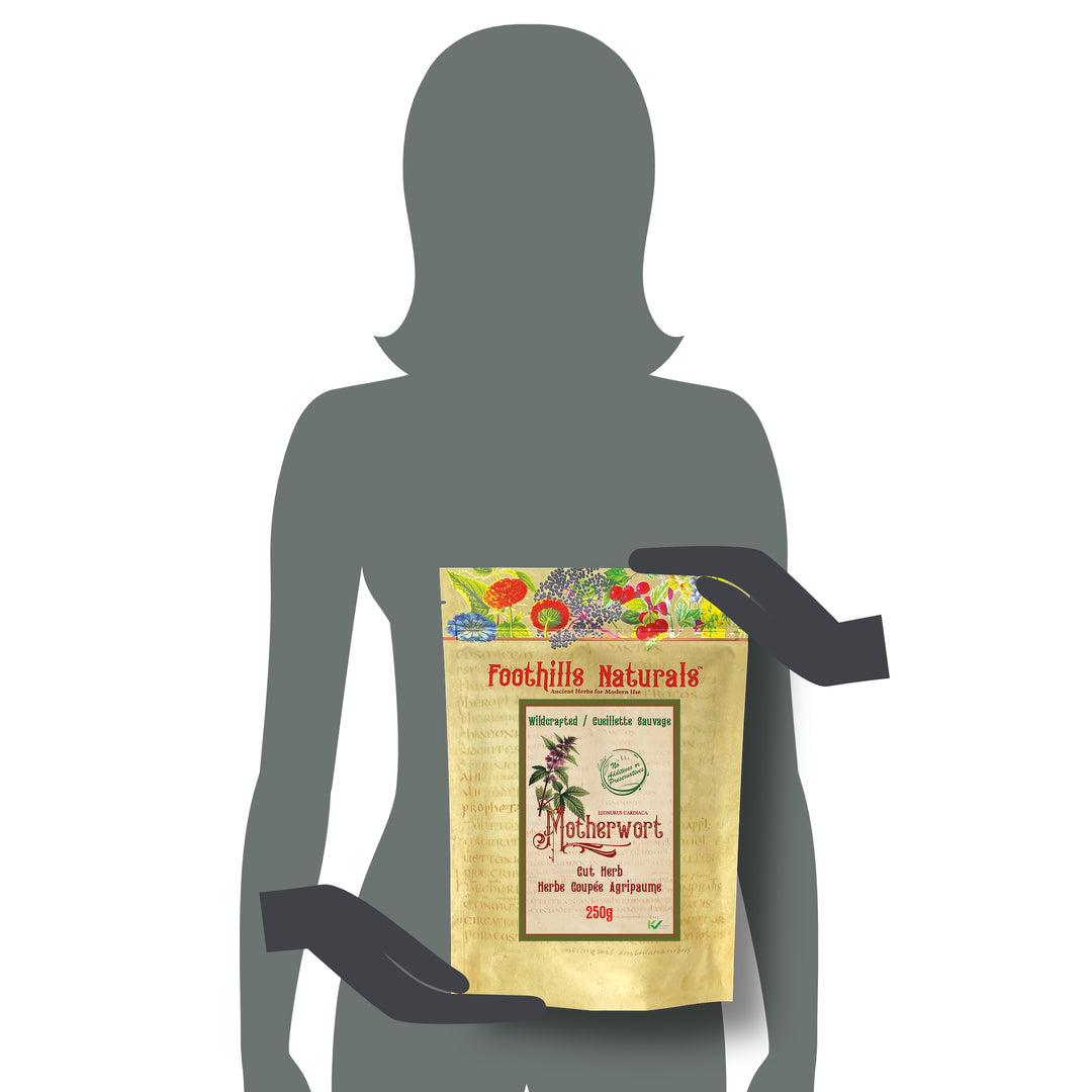 Motherwort Herb, Cut, Wildcrfted