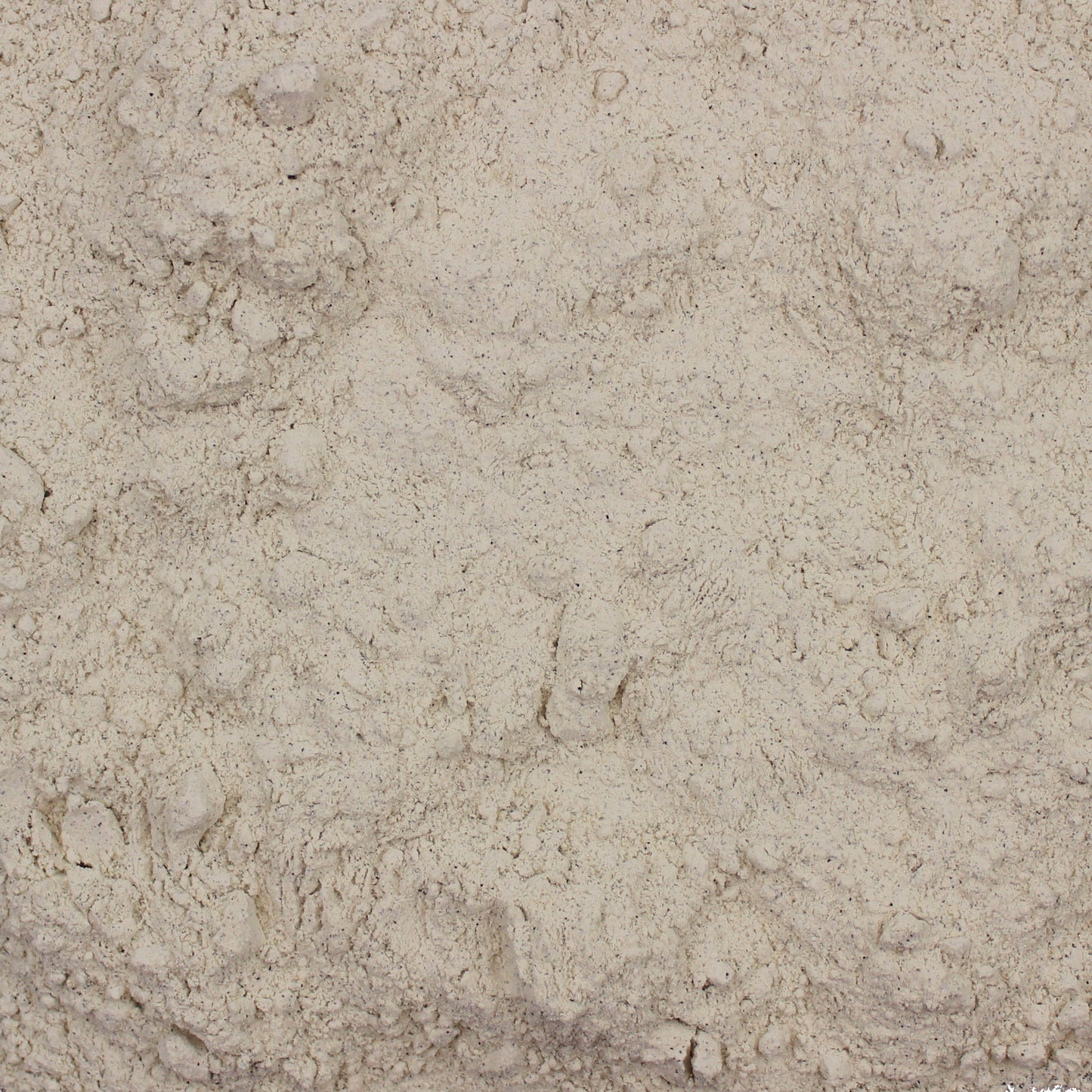 Organic Mucuna Bean Powder (Mucuna pruriens)