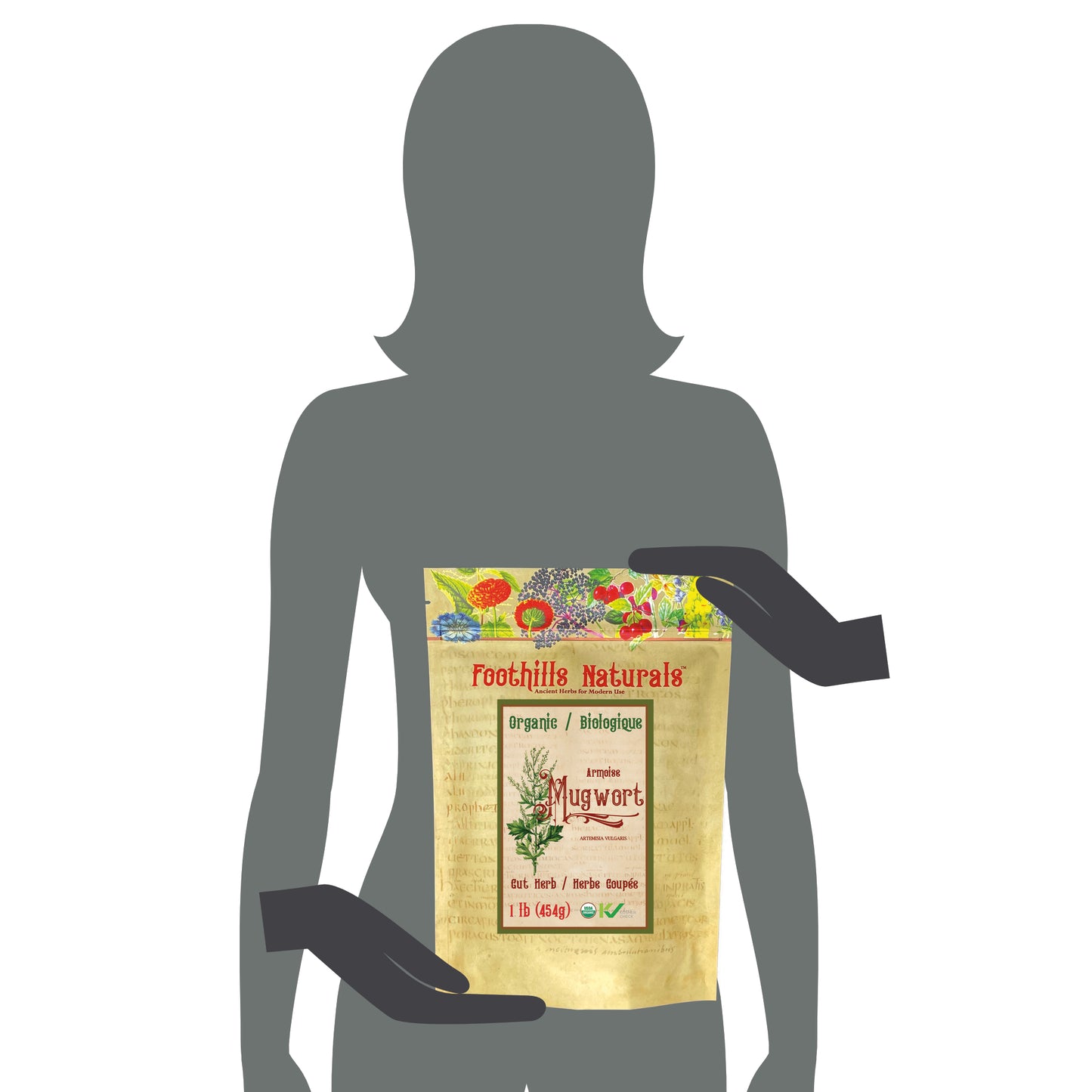 Organic Mugwort Herb (Artemisia vulgaris) – 454g / 1 lb – Dried Herb for Tea & Infusions