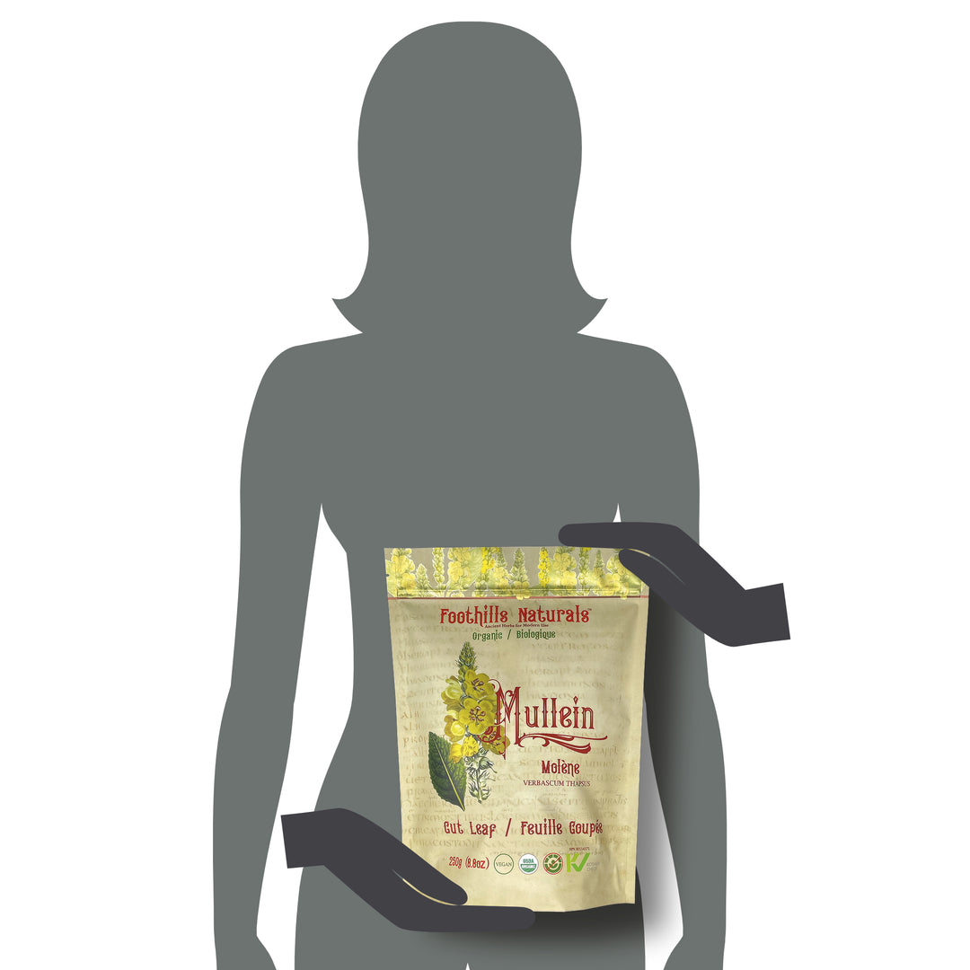 Mullein Leaf Cut Organic