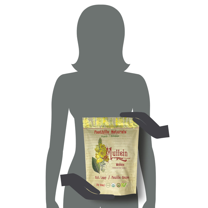 Mullein Leaf Cut Organic